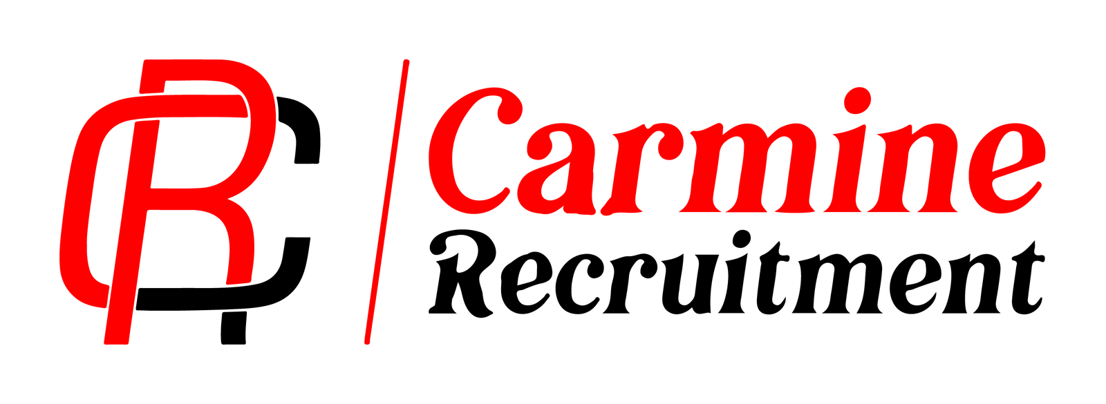 carminerecruitment.com